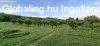 Elad 40 nm-es Csaldi hz Pcs Patacs 