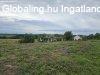 Elad csaldi hz Ozmnbk, 	hz tbb, mint fl ha terlette