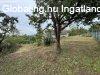 Elad csaldi hz Kincsesbnya, 	Rkhegy