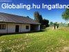 Elad Hz, Iregszemcse