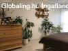 Elad 175 nm-es Feljtott Csaldi hz Debrecen