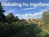 Elad csaldi hz Budapest, XXII. kerlet, 	Hunyadi utca