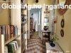 Szeged 3 szoba + garzon hz | Szeged Kecsks-telepen 80m2-es