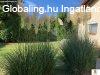 Tinnye, 171 m2, 149000000 HUF, 4 szoba, 1 flszoba [4425_419