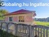 Elad csaldi hz Andrsfa, 	Csendes utcja