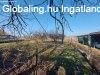 Csaldi hz elad Tiszapspkiben!