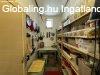 Elad 100 nm-es Feljtand Csaldi hz Bodrogkisfalud