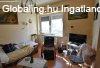 Elad 70m2-es Csaldi hz, Gyr