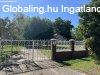 Horgsztavakkal, csaldi hzzal, erdvel s kerttel elad in