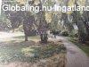 Elad csaldi hz Dunavarsny, 	F utca
