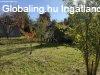 Elad csaldi hz Kisbucsa, 	Tgla csaldi hz tra nz pan