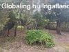 Elad csaldi hz Zalaegerszeg, 	csaldi hz laks rrt!