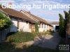 Nagy hz nagy udvarral s mgegy plettel - Hdmezvsrhel