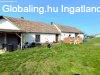 Csal�di h�z nagy lehet�s�gekkel - Balatonsz�rsz�