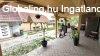 Kapolyi fel�j�tott csal�di h�z elad�