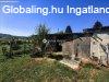 Elad� h�z, Lov�szi