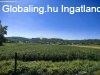 Elad� h�z, Lov�szi