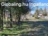 Kis h�z-nagy lehet�s�g | - S�ndorfalva