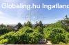   Budai �r�kpanor�m�s  h�z 