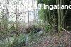 Gencsap�ti k�zpontj�ban, patakparti telek, bontand� h�zzal e