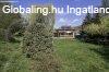 Kiv�l� adotts�g�, t�bbgener�ci�s csal�di h�z Saj�galg�con ? 