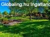 Elad� 160m2-es Csal�di h�z, Szada