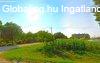 5 LAK�S EGY TELKEN, AMELY M�R MOST IS BEV�TELT TERMEL B�NY�N