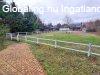 Pom�zon kisbirtok �jszer� h�zzal elad�.