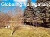 Elad� h�z, Zalaegerszeg