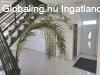 Elad� ikerh�z Kecskem�t, 	�nekes utca k�rny�ke