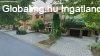 Elad�  G�rdony, 	K�zponti �t