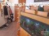 Elad� 142.00 nm-es �jszer� �llapot� Csal�di h�z H�dmez�v�s�r