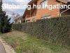 Otthon �s Karrier Egy Helyen: Csal�di H�z + Profi M�hely Hal