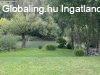 K�ZVETLEN DUNA-PARTI BIRTOK - Kimle