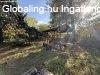 Buda�rs - Kamaraerd�