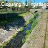 B�rn�ban term�szetk�zeli hangulatos csal�di h�z