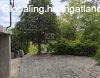 Elad� csal�di h�z Buda�rs, 	Buda�rsi Kamaraerd�