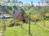 Elad� csal�di h�z Zalaegerszeg, 	Csend, z�ld k�rnyezet �s le