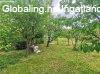 Elad� csal�di h�z Zalaegerszeg, 	Csend, z�ld k�rnyezet �s le