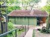 Hirdet�nk �n helyett!