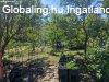 Elad� fel�j�tott csal�di h�z K�r�shegyen - K�r�shegy