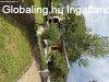 Elad� 190m2-es Csal�di h�z, Nagykanizsa
