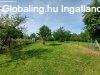 Elad� 524.00 nm-es Fel�j�tott Csal�di h�z Pell�rd