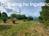Elad� 524.00 nm-es Fel�j�tott Csal�di h�z Pell�rd