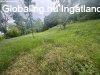 Elad� 1700.00 nm-es Sorh�z Orf�