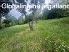 Elad� 1700.00 nm-es Sorh�z Orf�