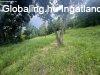 Elad� 1700.00 nm-es Sorh�z Orf�