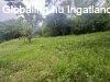 Elad� 1700.00 nm-es Sorh�z Orf�