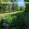 Szarvas k�lter�let�n lak�h�z elad�! 