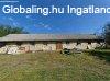 Fel�j�tand� lak�h�z hatalmas telekkel a Palatinusz t� k�zel�